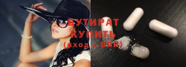 индика Бородино
