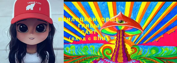 бошки Богородицк