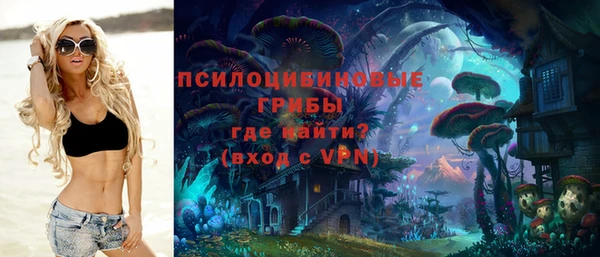 бошки Богородицк