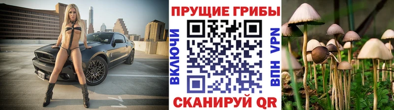 Галлюциногенные грибы MAGIC MUSHROOMS  МЕГА tor  Белово 